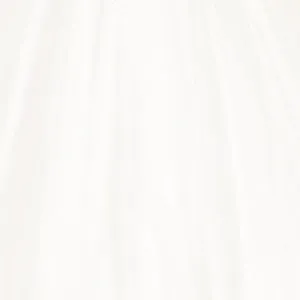 Applique Short Corset Bridal Dress by Adrianna Papell 45011