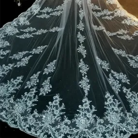 Bridal Veil With Comb Cathedral Lace Edge Elegant Veil