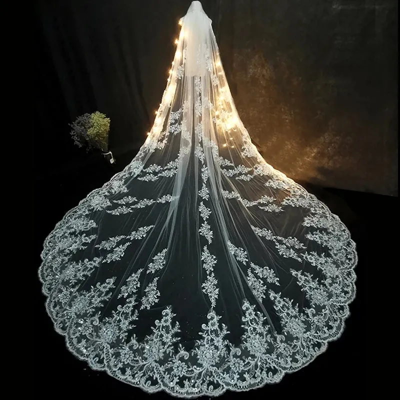 Bridal Veil With Comb Cathedral Lace Edge Elegant Veil