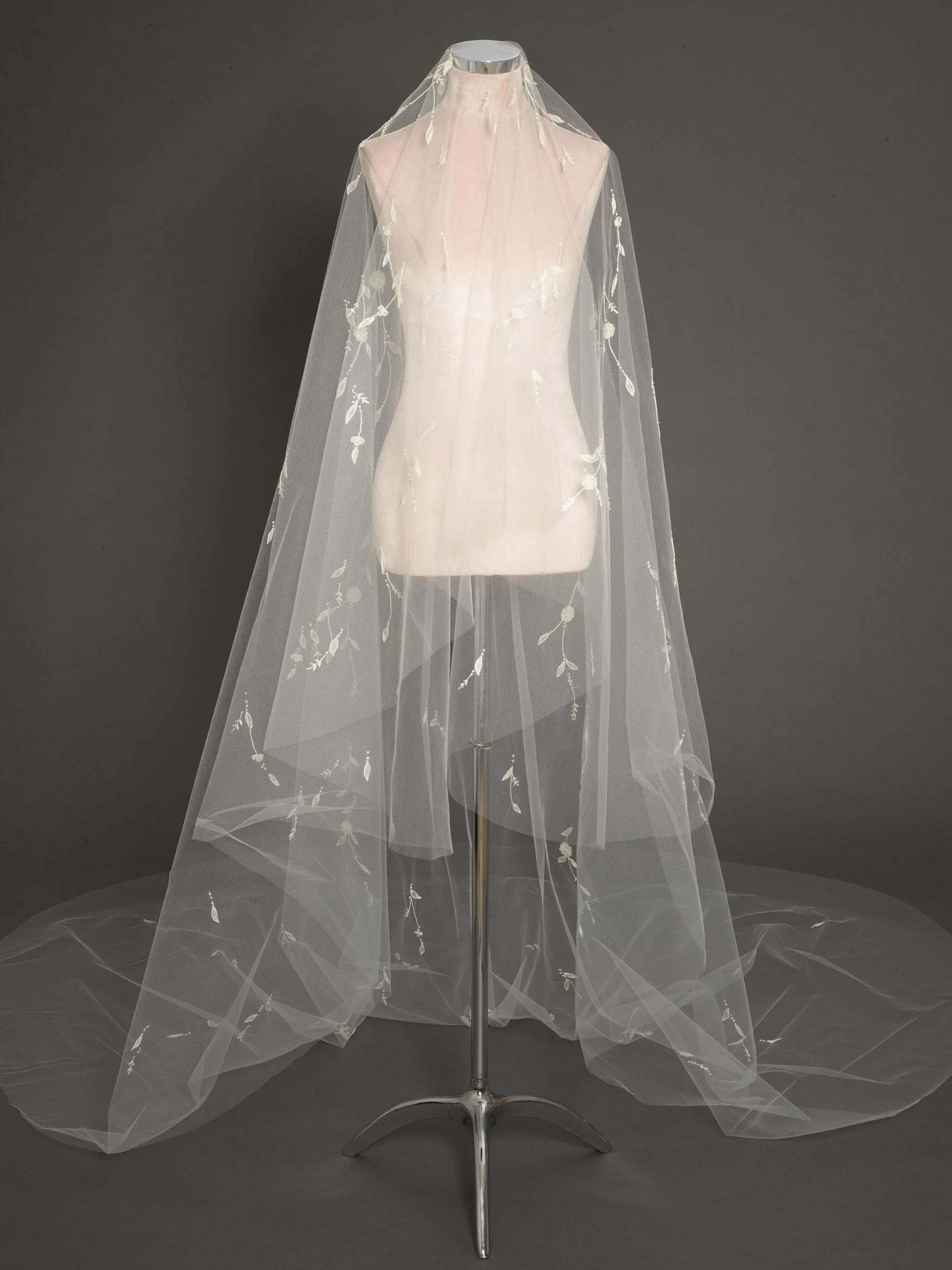 BV12064 (wholesale)
