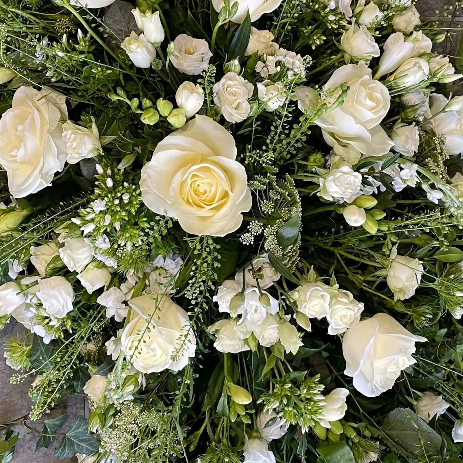 Cascading Coffin Spray
