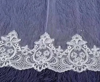 Charming Long Tulle Lace With Appliques Chapel Wedding Veil