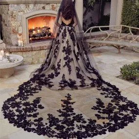 Fashion 3M Cathedral Long Wedding Veils Lace Appliqued Edge Soft Tulle One Layer Bridal Veil With Comb