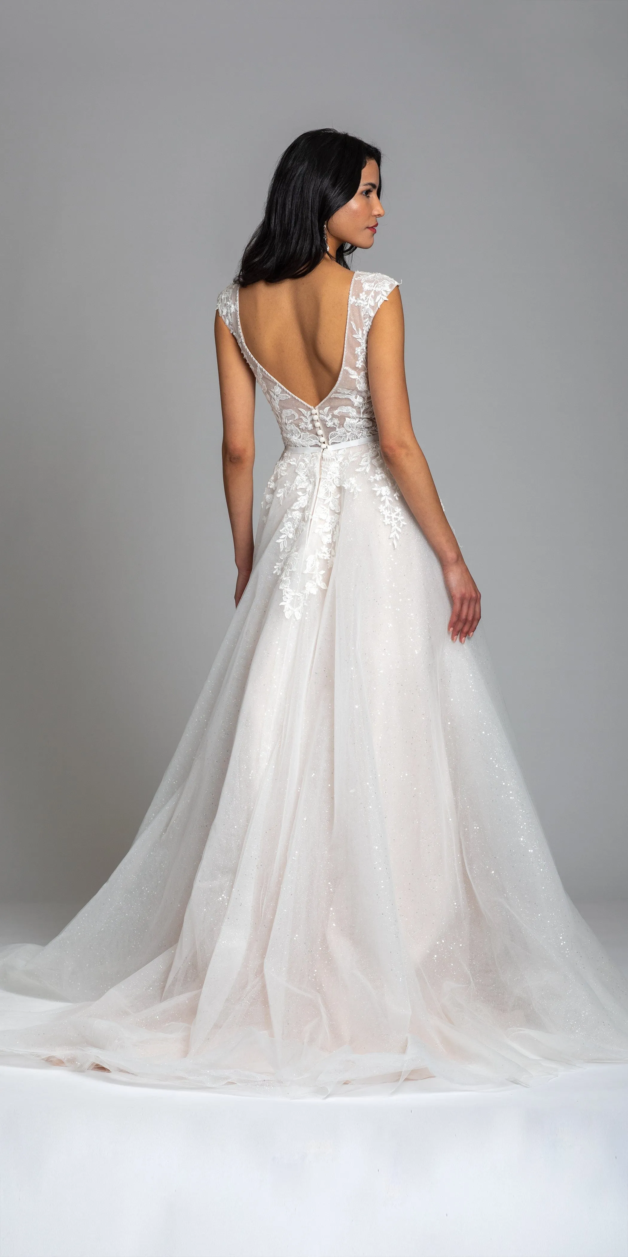 Illusion Cap Sleeve Plunging Glitter Ballgown