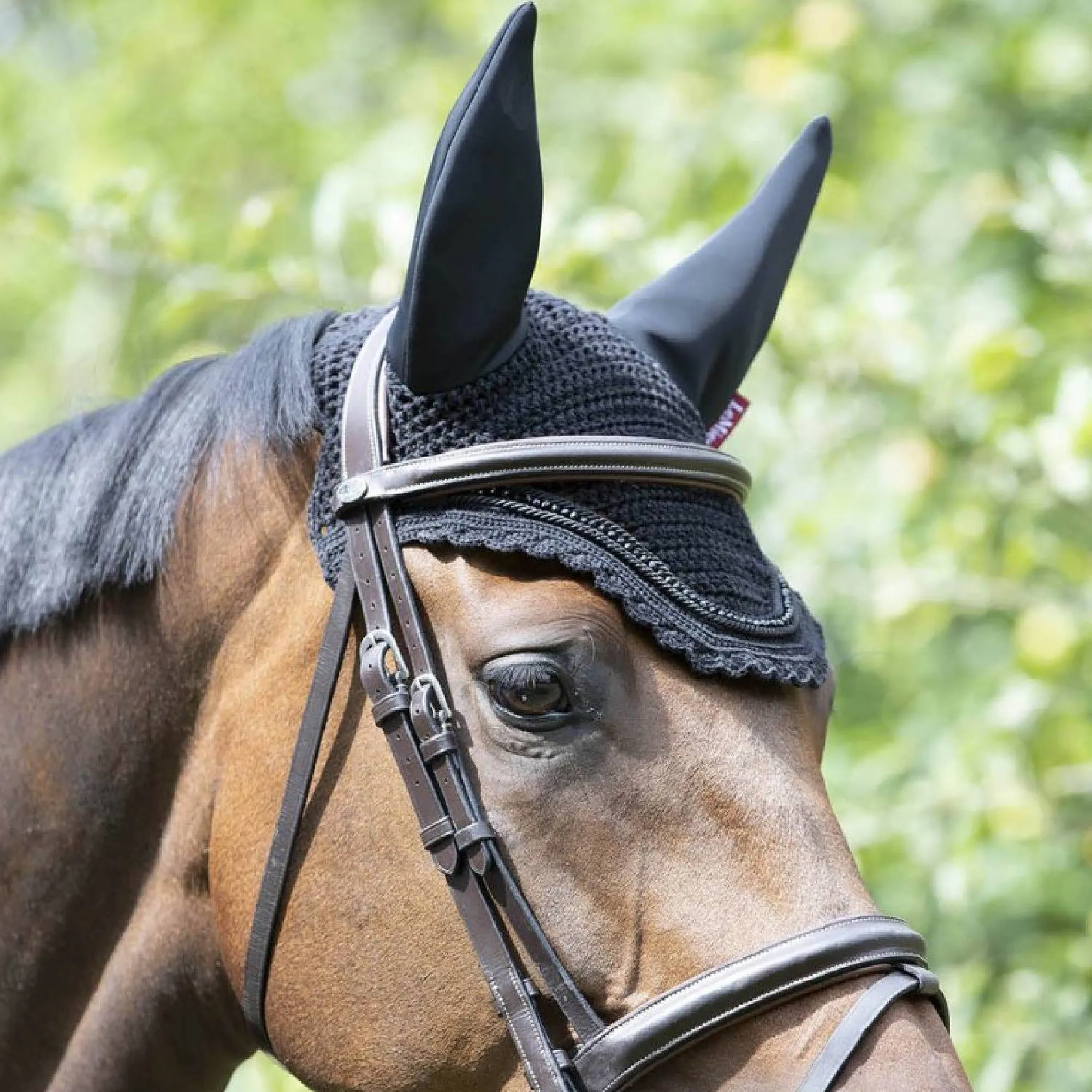 Lemieux Diamante Acoustic Fly Hood