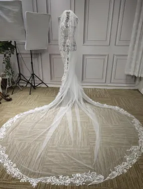 Long Lace appliques wedding veil