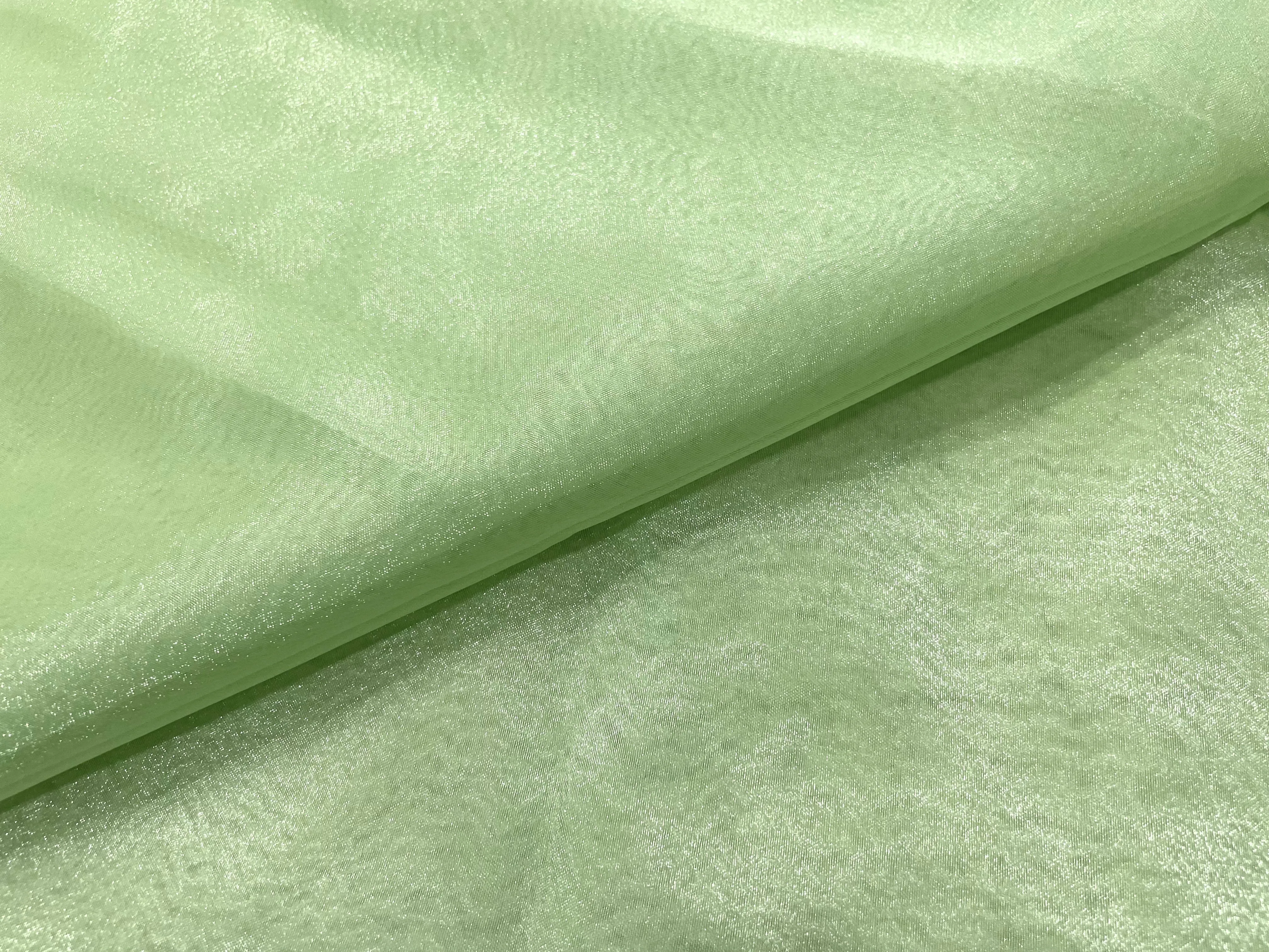 Pista Green Plain Organza Fabric