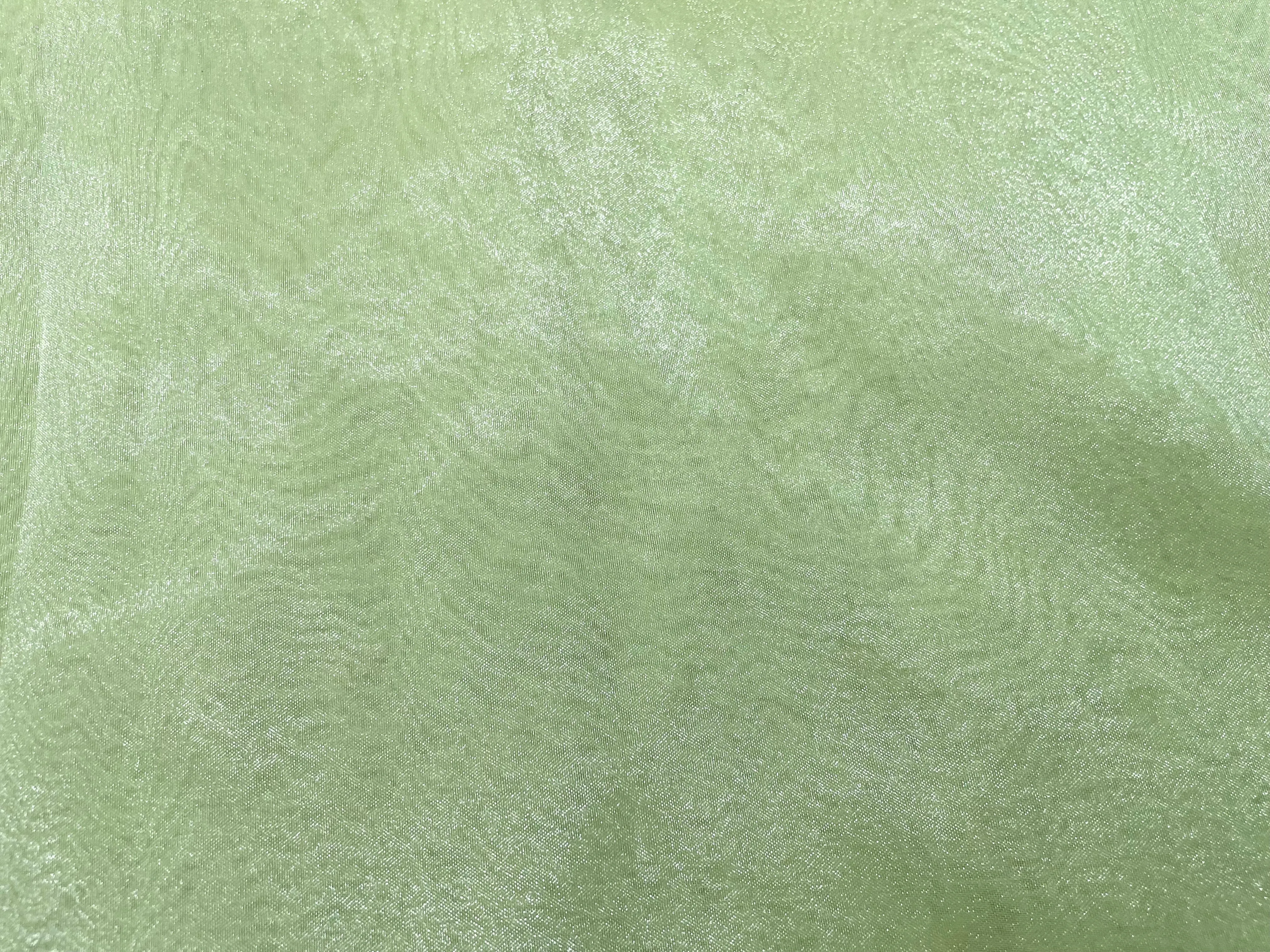 Pista Green Plain Organza Fabric